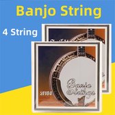 Premium Banjo snaren - Banjo snaren vervangen - BJ 10 Banjo strings