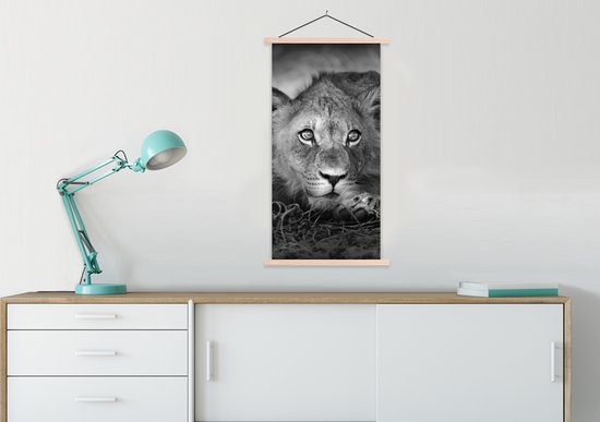 Porte-affiche avec affiche - Affiche scolaire - Animaux sauvages - Lion - Nature - Zwart - Wit - 60x120 cm - Lattes vierges