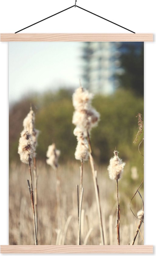 Porte-affiche avec affiche - Affiche scolaire - Katoen - Soleil - Plantes - 40x60 cm - lattes vierges