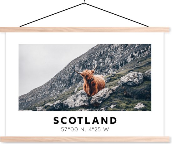 Posterhanger incl. Poster - Schoolplaat - Schotland - Schotse Hooglander - Bergen - Dieren - 150x100 cm - Blanke latten
