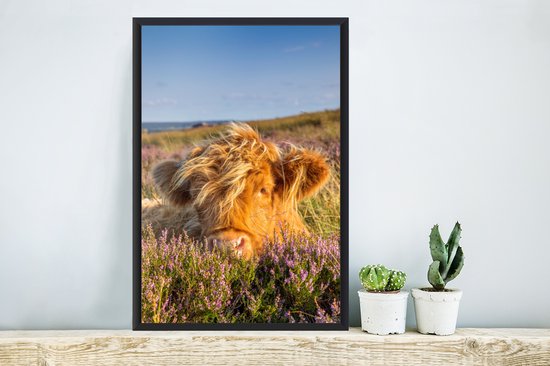 Highlander écossais sur le cadre photo violet bruyère noir sans passe partout