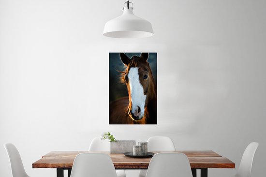 Poster Tête de cheval au lever du soleil papier 40x60 cm - Tirage photo sur Poster (décoration murale salon / chambre) / Poster Animaux de la ferme