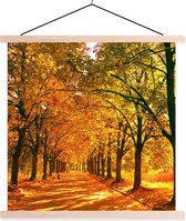 Support pour affiches avec affiche 120 x 120 cm - Affiche scolaire - Forêt - Automne - Saisons - Campagne - Affiche textile - Lattes vierges