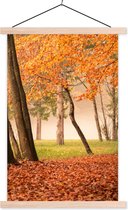Porte-affiche avec affiche - Affiche scolaire - Feuilles - Automne - Forêt - 40x60 cm - Lattes vierges