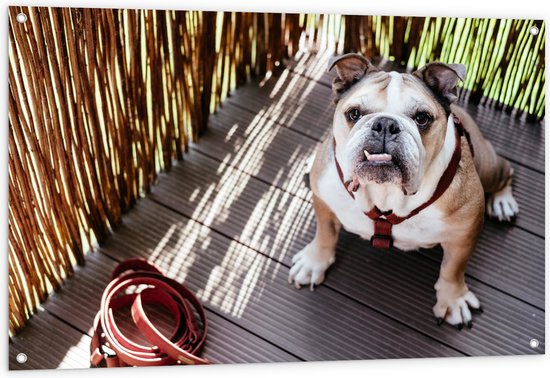 WallClassics - Tuinposter – Bulldog op Houten Planken - 120x80 cm Foto op Tuinposter (wanddecoratie voor buiten en binnen)