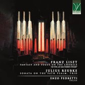 Enzo Pedretti - Franz Liszt, Julius Reubke: 19th Organ Works (CD)