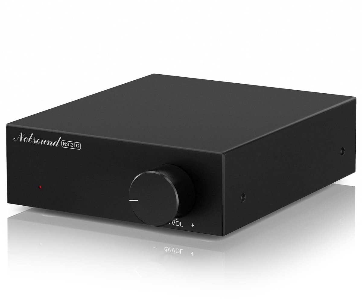 Solidchoice - Mini Mono Subwoofer Versterker 100W met Laagdoorlaatfilter