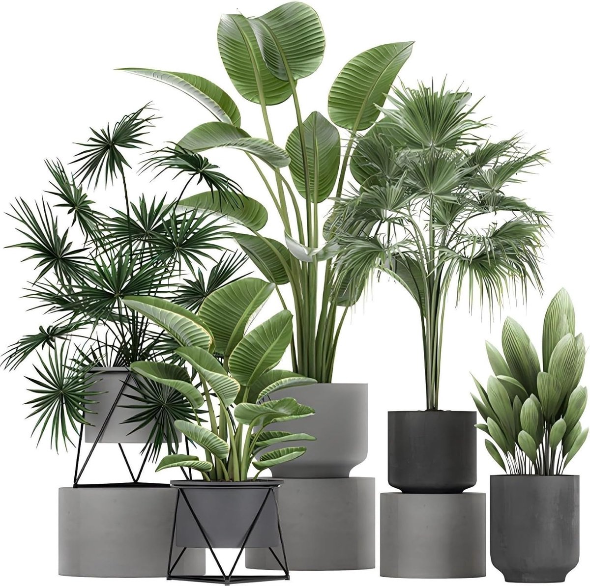 Green Plant Wall Decals, 3D Bonsai Tropical Plant, Wall Sticker Creative Vinyl Peel and Stick Removable Wall Art - ShopVlot