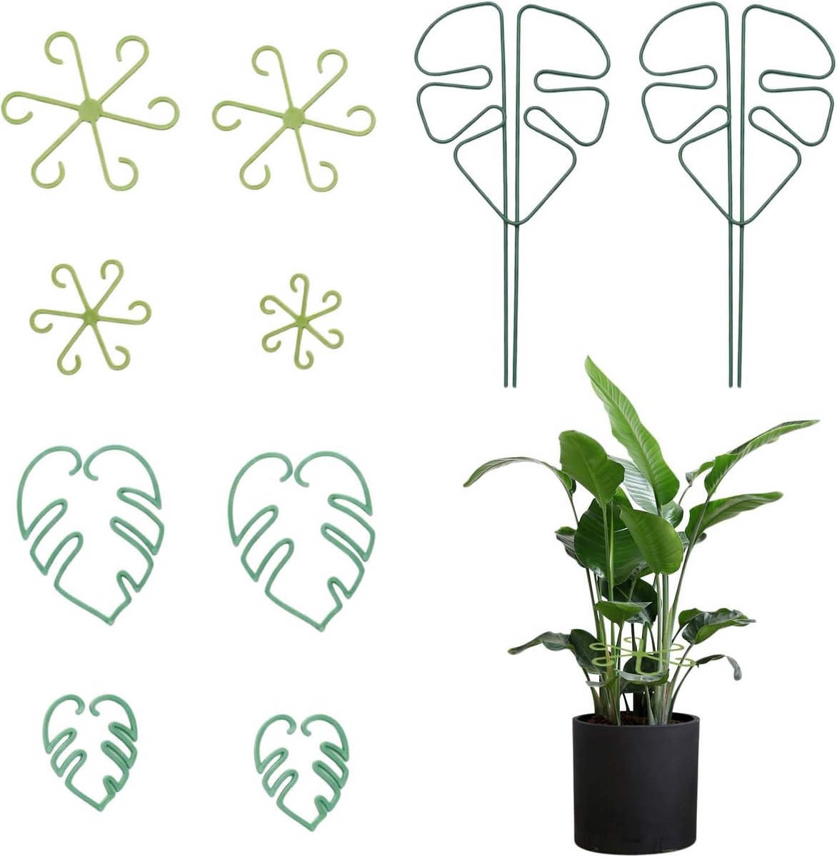 Klimplantenstandaard met bladvorm - roestvrij staal - decoratief element - voor Monstera en Alocasia - ShopVlot