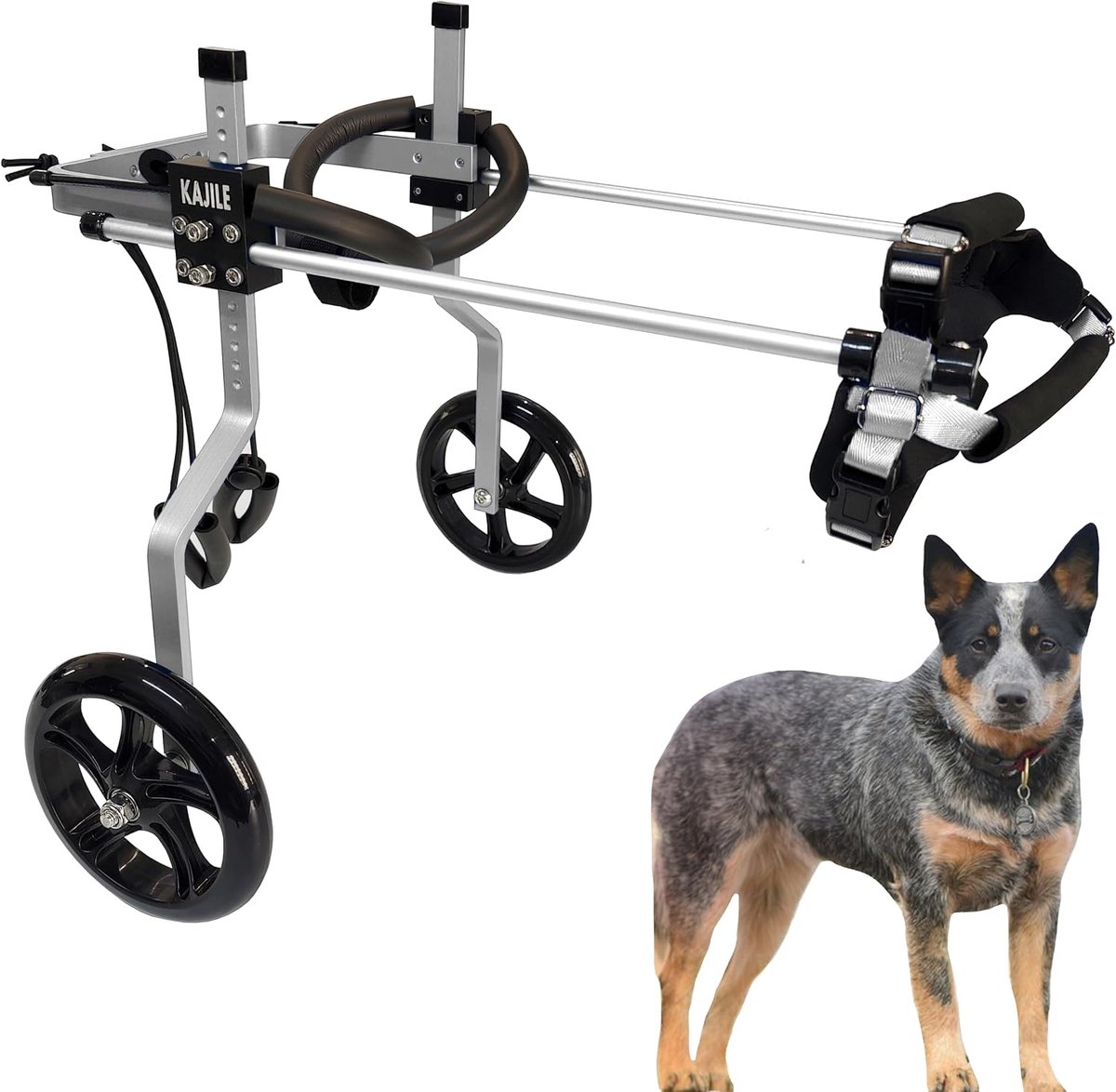 Adjustable 2 Wheels Dog Wheelchair for Small Dogs,M-1 Size for Rear Legs Rehabilitation,Height 27-35cm,Width - ShopVlot