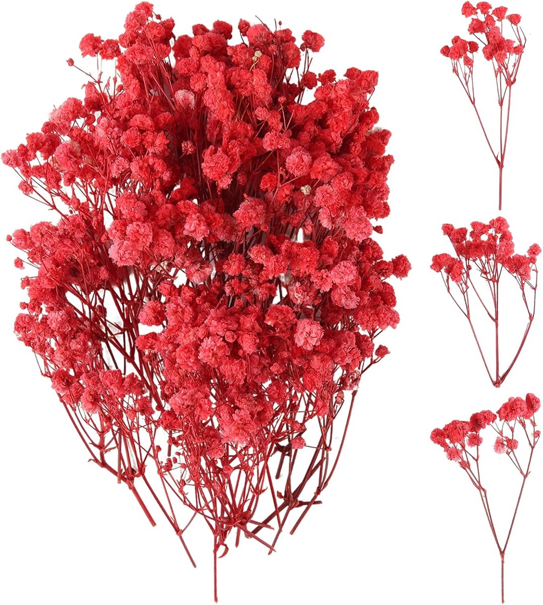 100 stuks gedroogde nevels, meerdere bloemknoppen Gypsophila, mist Gypsophila bloemen, natuurlijke gedroogde bloemen - ShopVlot
