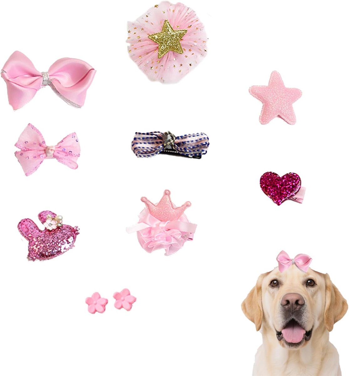 SnelShoppen - 10 Stuks Honden Haar Clips, Honden Haar Strikjes met Rubber, Haarspeldjes voor Kleine Honden en Katten, Puppy Haaraccessoires