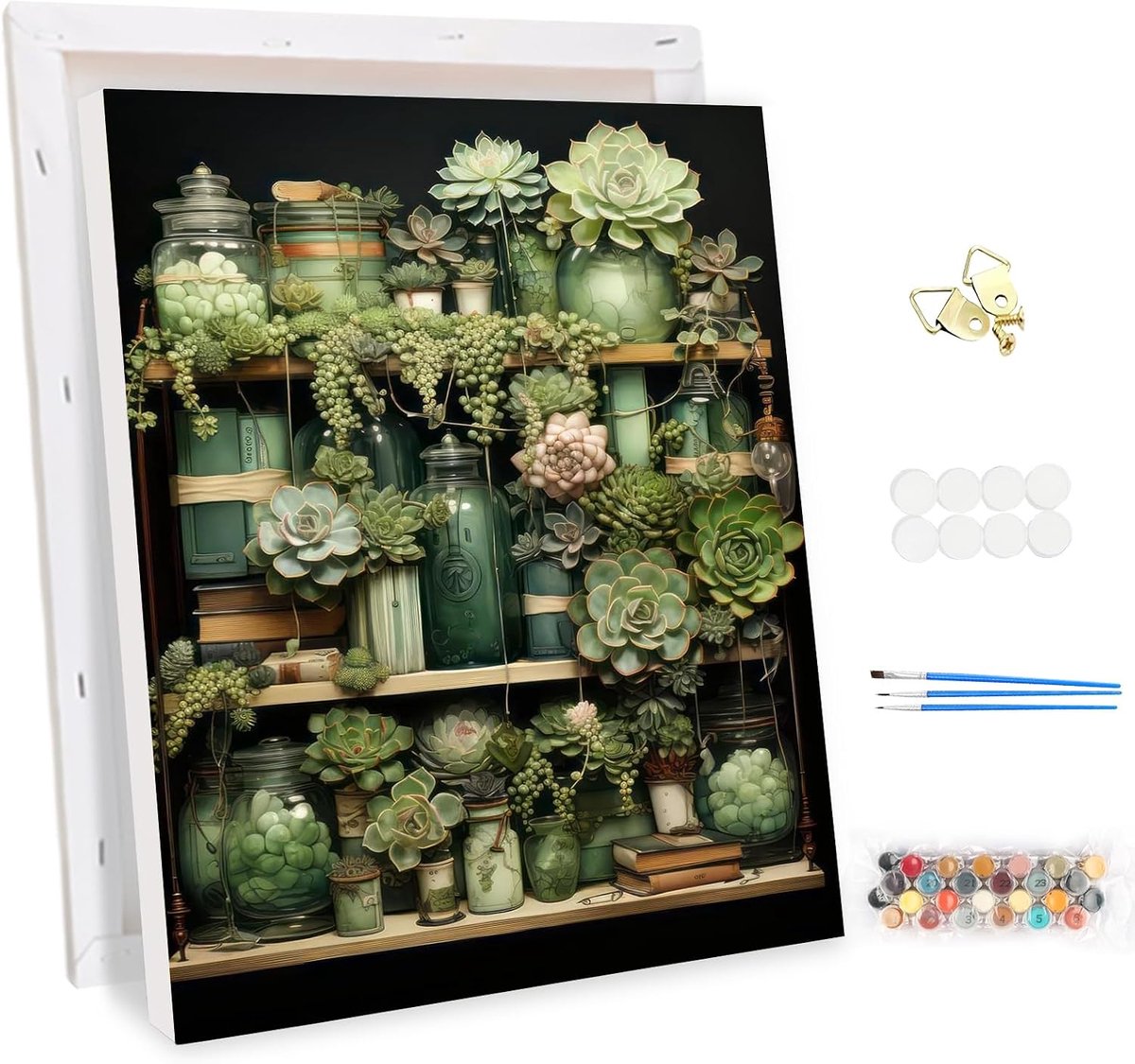 Verf op Nummer Set 30x40cm - DIY Schilderij met Venster Succulenten - Inclusief Verf en Penseel - ShopVlot