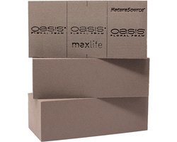 OASIS NatureSource (TM) Maxlife brick, 35 pieces in box, 23x11x7.5cm - ShopVlot