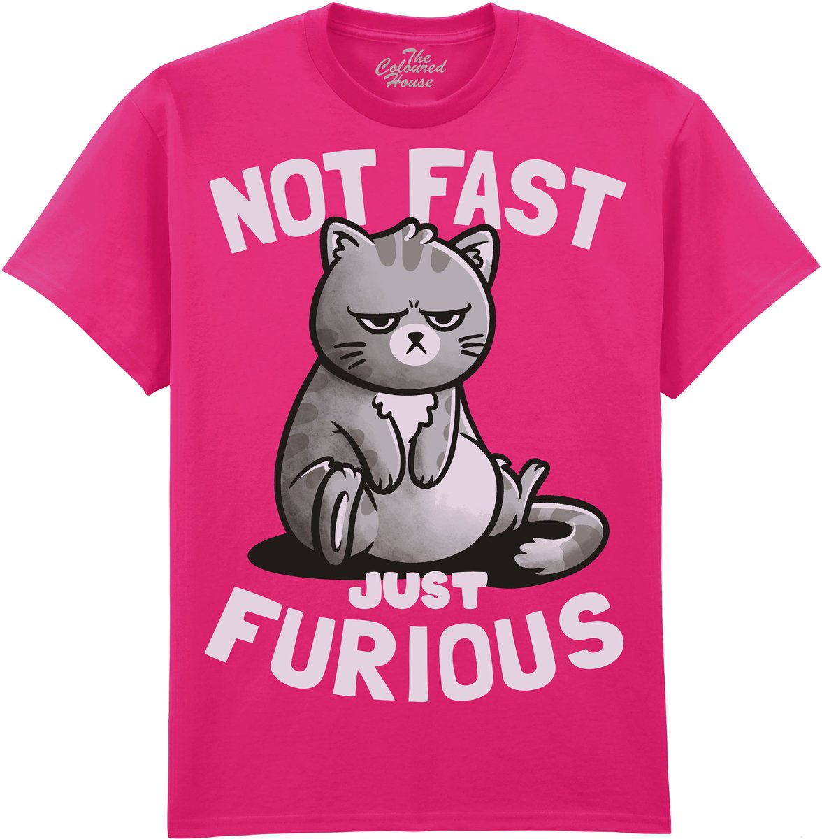 Kat Not Fast Just Furious The Coloured House T-shirt L