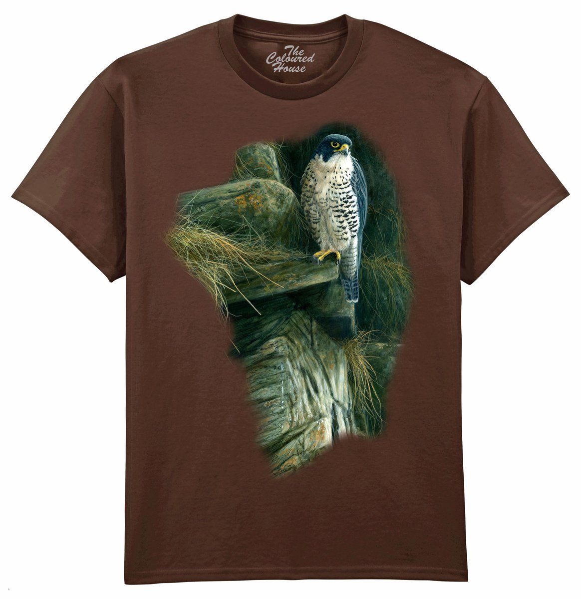 Slechtvalk Peregrine Rock The Coloured House T-shirt XL