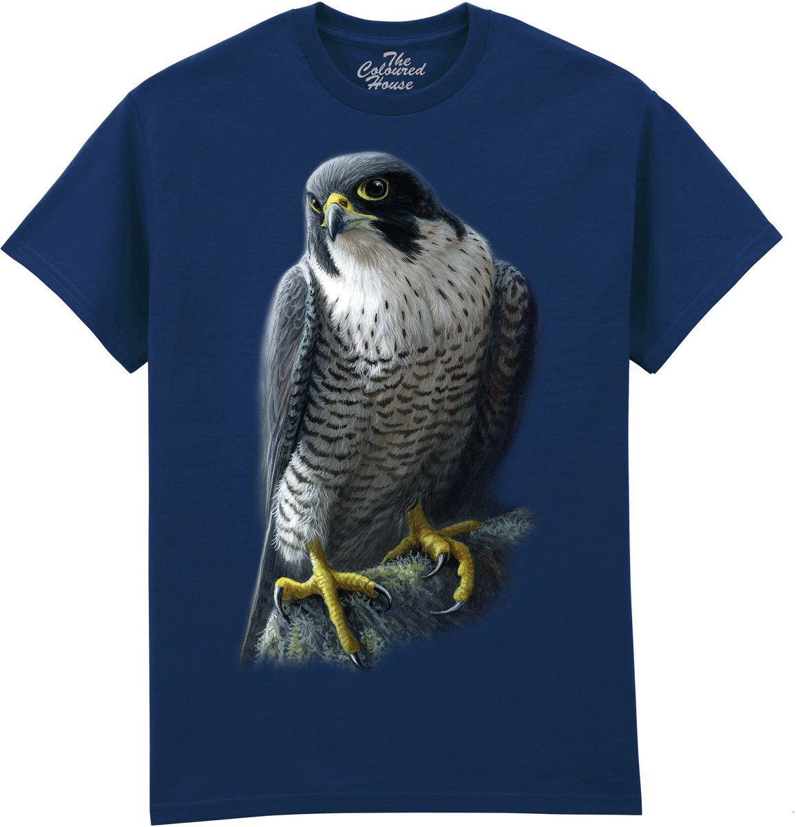 Slechtvalk Peregrine The Coloured House T-shirt S