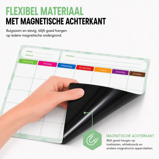 Een hand laat de flexibele, magnetische achterkant van een weekplanner zien. De planner heeft een lichtgroene, stippelde rand en gekleurde dagen van de week.