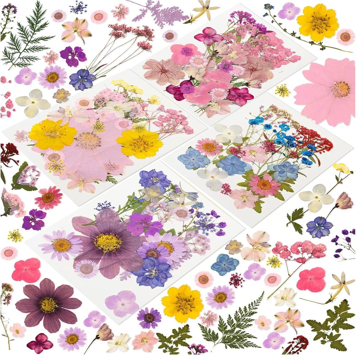 Complete set van 100 gedroogde bloemen voor resin, zeep, kaarsen, scrapbooking en sieraden maken
