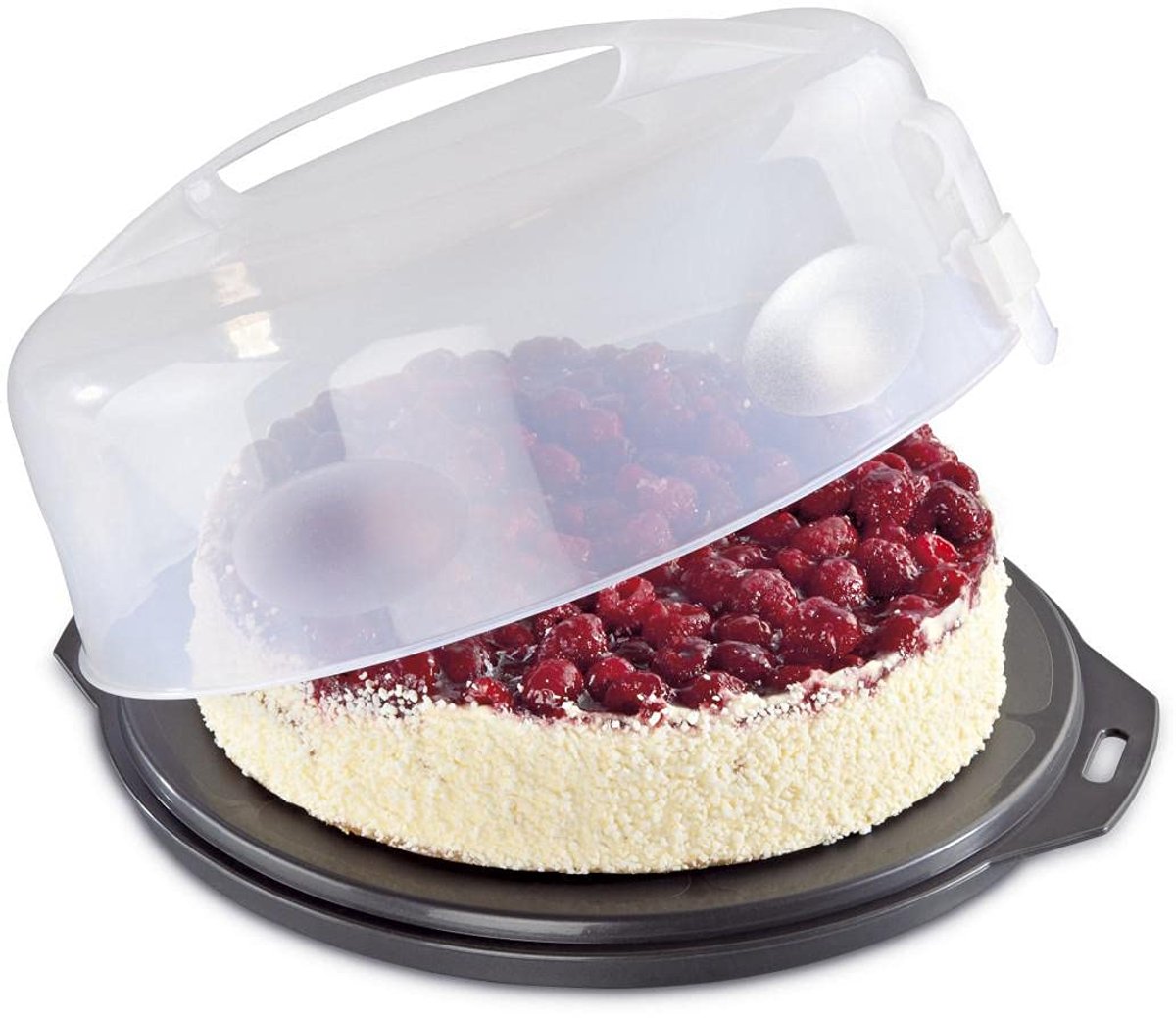 Famanu – Ronde taarttransportbox met deksel, taarthouder van 31,5 cm diameter en binnenhoogte van 8 cm, taartdoos met stukindelingshulp, antraciet en transparant