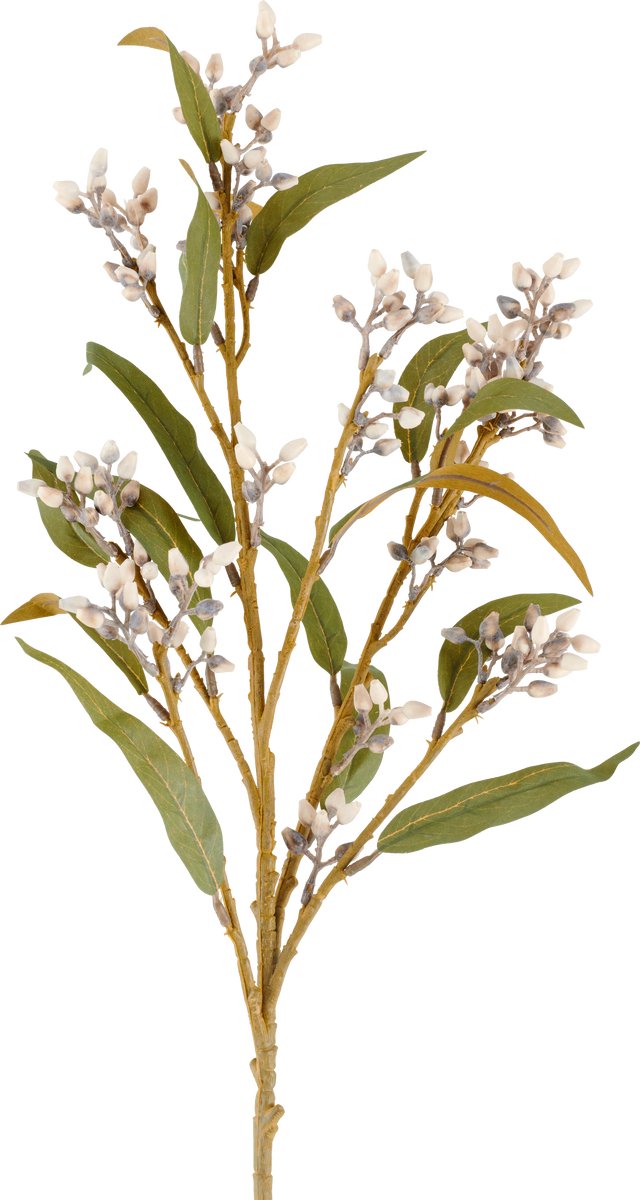 Easyplants | Kunstbloem Eucalyptus 78 cm creme/bruin | Zijde | Nepbloemen | bruin | Onderhoudsvrij | Kant-en-klaar