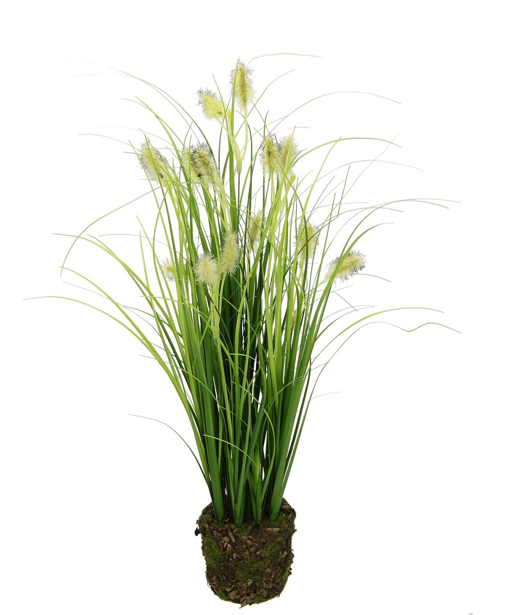 Kunstgras met vossenstaart, in aarde, gras, kunstgras, siergras, groene planten, siergras, siergras, solitair gras - ShopVlot
