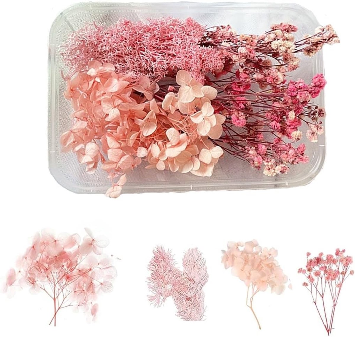 Decoratieve Gedroogde Bloemen voor Hars, Epoxy Resin Versieringen, Ambachtelijke Knutselprojecten en Kaarsen Decoratie
