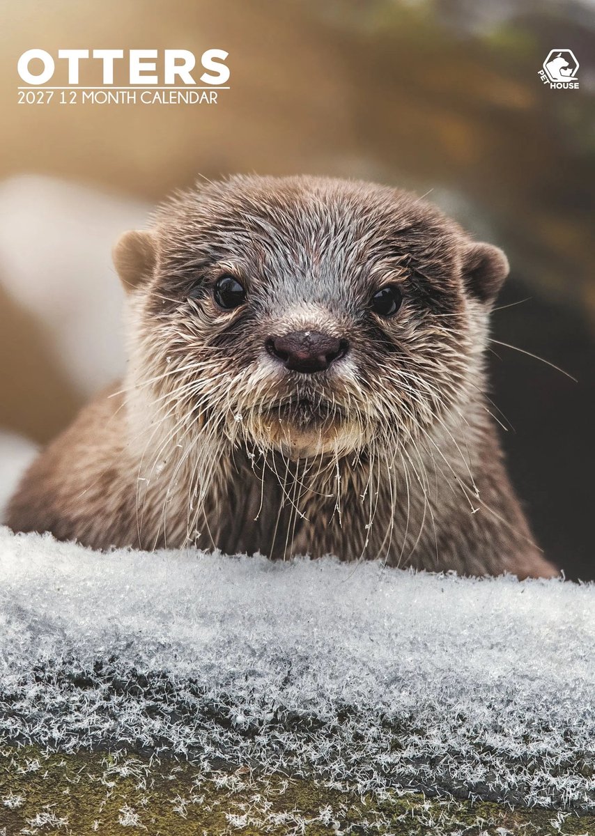 Otter A3 Kalender 2027