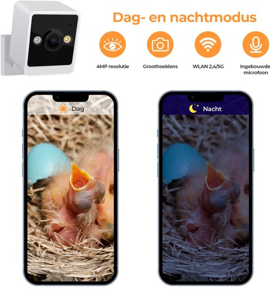 Archi Slim Vogelhuisje met 5MP Camera - Beveiliging - Bewegingsdetectie & Nachtzicht - Live Beelden via App - Massief Grenenhout — afbeelding 2
