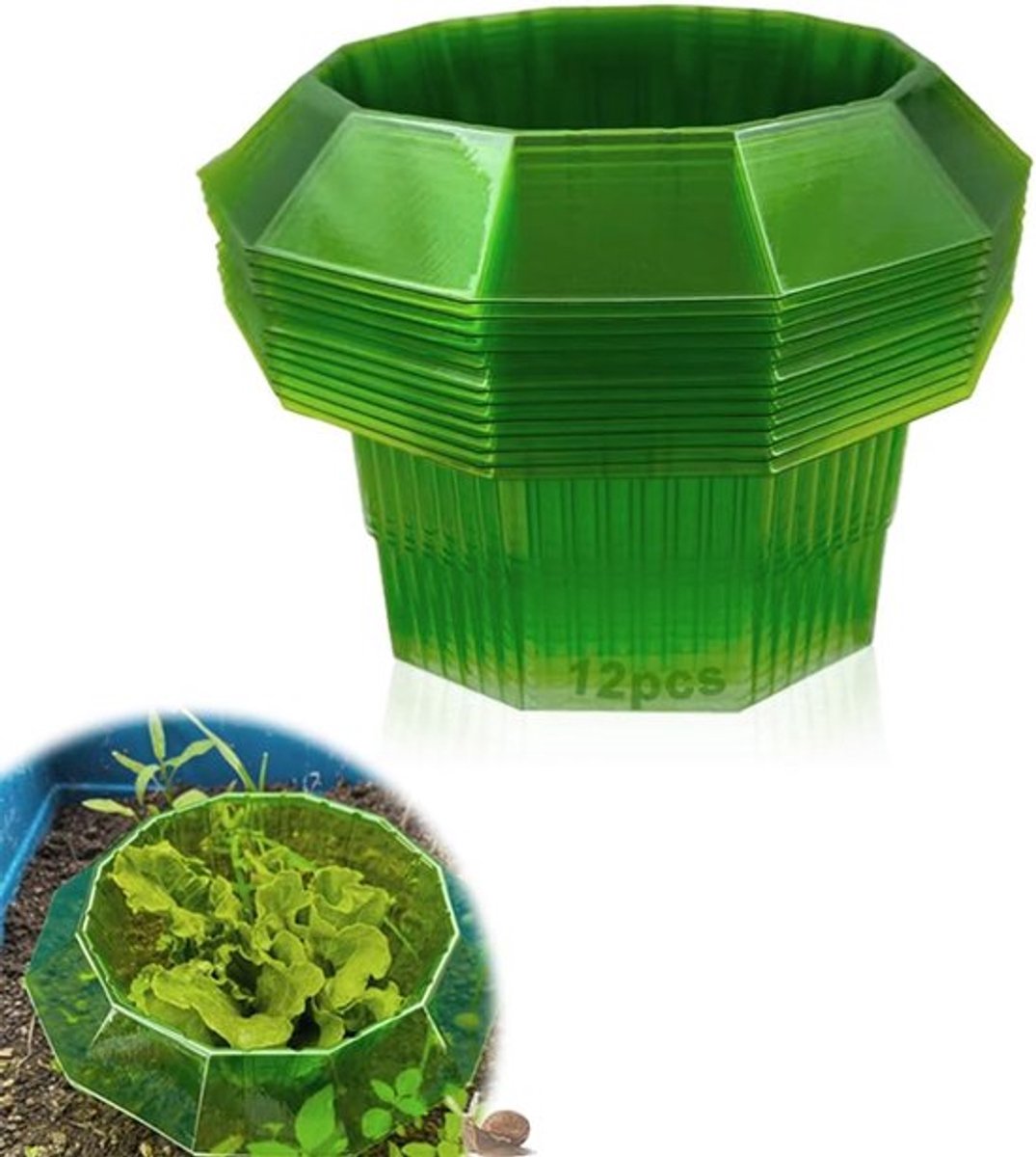 Slakkenhalsbanden voor tuin - Slakkenbescherming - Plastic hek voor sla- en koolplanten beschermt tegen ongedierte (Green-12)