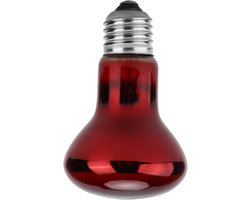 Infrarood Warmtelamp - Terrarium Lamp - Reptielen Warm Houden - Zacht Niet-Verblindend Licht - 14 x 8 x 7 cm