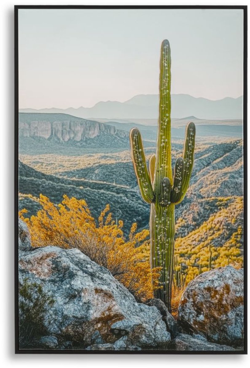 Mauro Ferretti Schilderij Lacquered Canvas Print With Frame Cactus -w 60×4×90 cm Multicolor