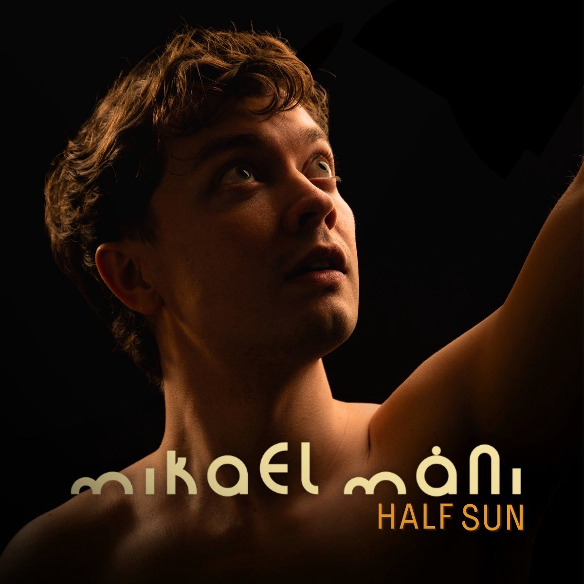 Mikael Mani - Half Sun (LP)