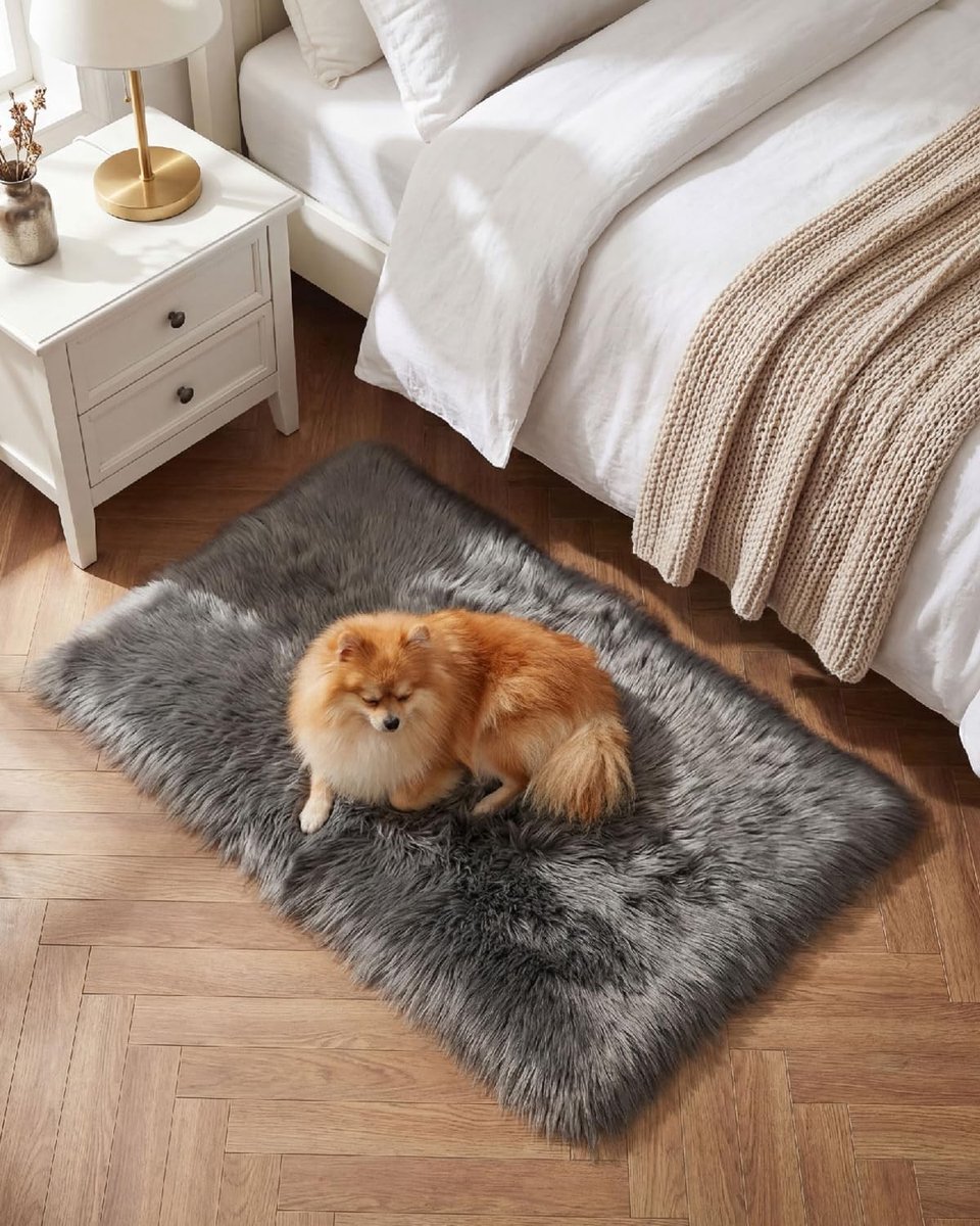 Dailygoods- Pluche Tapijt 50 x 80 cm - Ultrazacht Vloerkleed - Shaggy Tapijt - Antislip - Geschikt voor Woonkamer/Slaapkamer - Warmte en Comfort