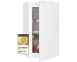 Kleine vriezer - Compacte vrieskast - Voedsel bewaren - Verwisselbare deuraanslag - 63 liter inhoud - Wit