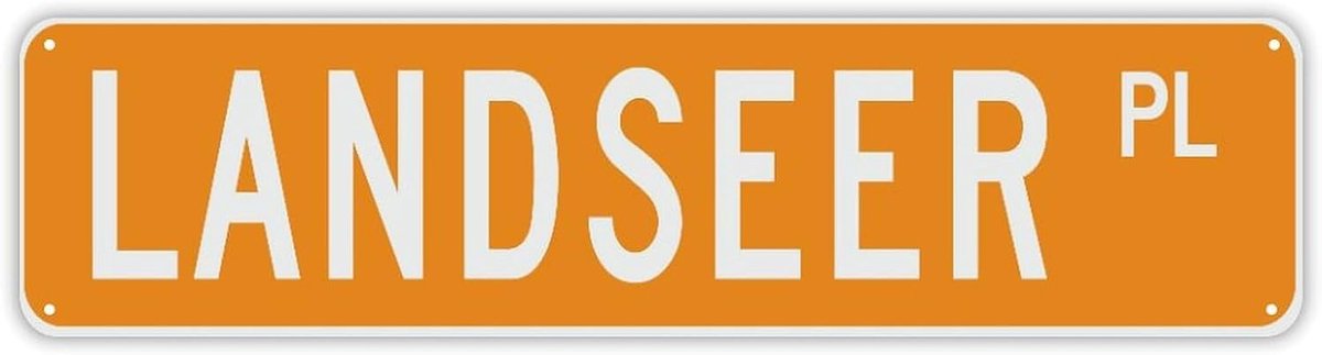 Gepersonaliseerd Naambord - Huisnummerbord Metaal - Decoratie Huis - Op Maat Gemaakt - 24 x 6 Inch - Stijl 2