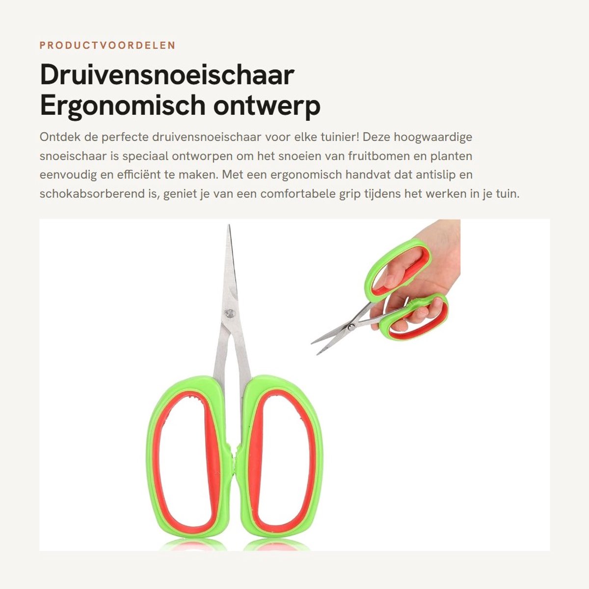 Dailygoods- Snoeischaar Roestvrij Staal - Ergonomisch Handvat - Antislip - Schokabsorberend - Voor Fruitbomen/Bonsai - Hoge Slijtvastheid - Tuinschaar