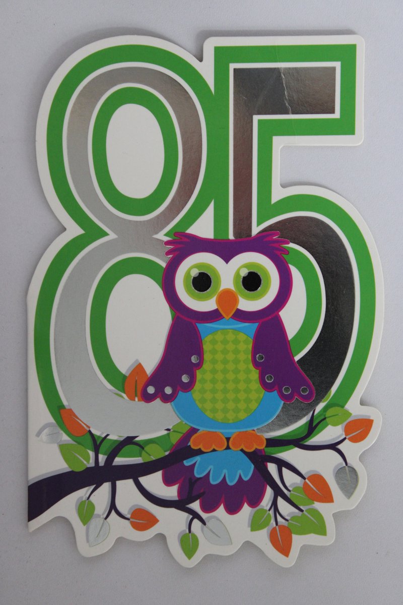 Luxe Wenskaart 85 Jaar - Verjaardagskaart - Leeftijdskaart - Verjaardag - Jarig - Leeftijd 85 - Touche Cards - Kaart - 8717245010177 - Geburtstag - Birthday - Anniversaire - 1 Stuks - In Folie - Gratis Verzonden - Hoge Afnamekortingen - 12x17.5cm