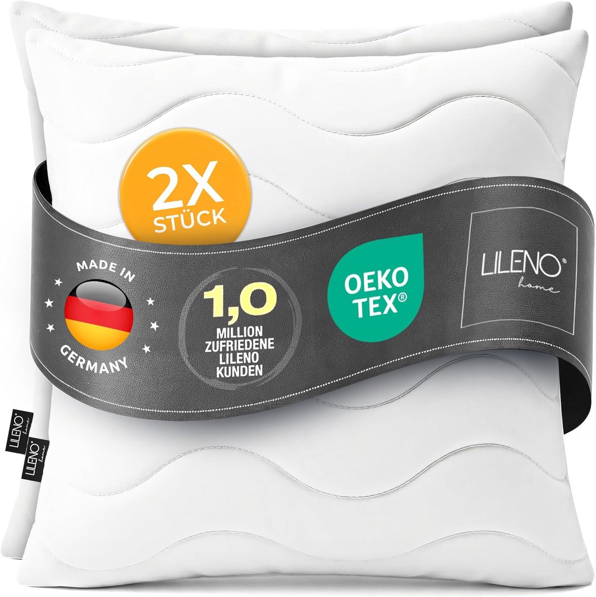 SnelShoppen - Set van 2 Decoratieve Kussens 45 x 45 cm, Wasbare Kussenvulling tot 95 °C, Polyester Kussens voor Sofa of Bed, Luxe Kussens met Rits
