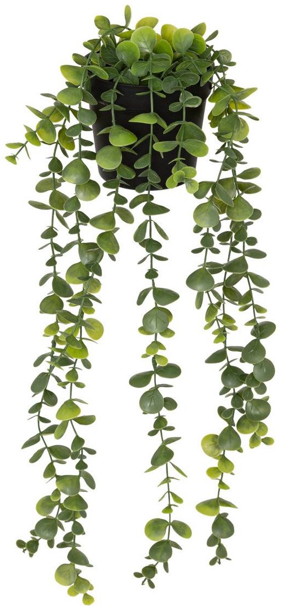 Kunstmatige eucalyptus MERLY