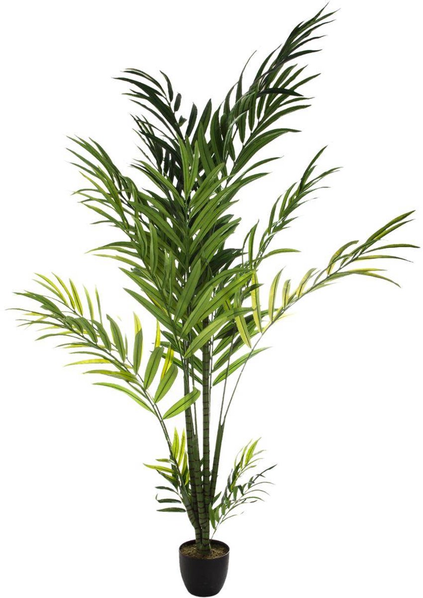 Kunstmatige arecapalm