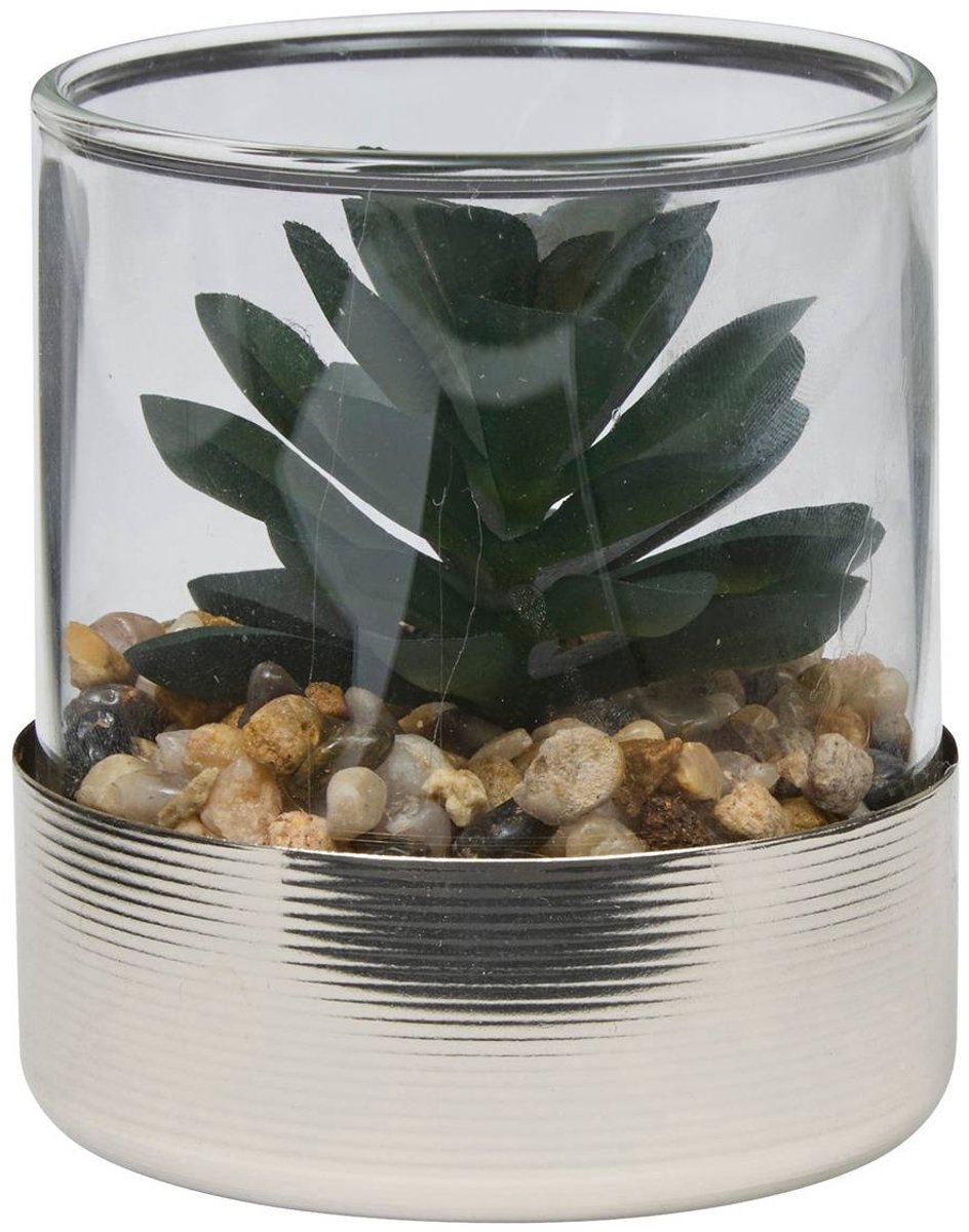 Terrarium SKY