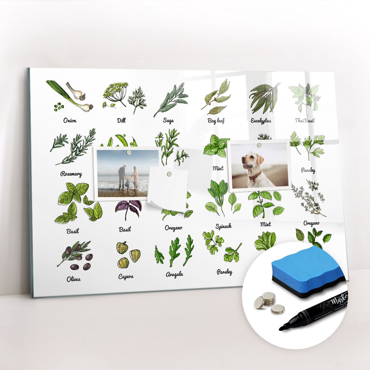 Tulup Whitebord - Soorten bomen - 60 x 40 cm - Groente Magnetisch Memobord - Gratis 5 Sterke Magneten + Whiteboard Marker & Wisser - Stylish Memo Board - Magnetisch Memobord - Notitiebord Werkplek