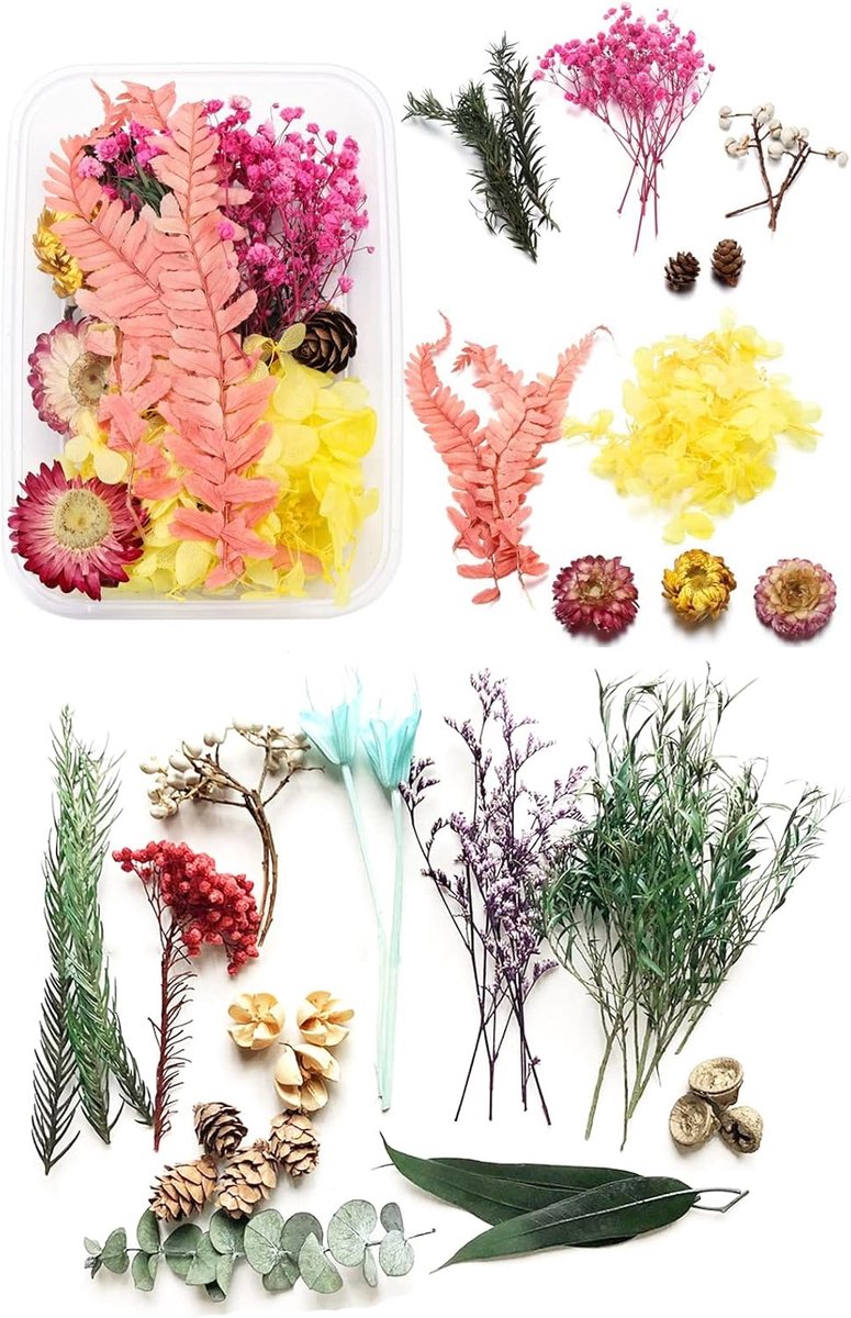 Drogen bloemen 2 stuks - natuurlijke bloemenbladeren - decoratief - ideaal voor het maken van tassen - ShopVlot