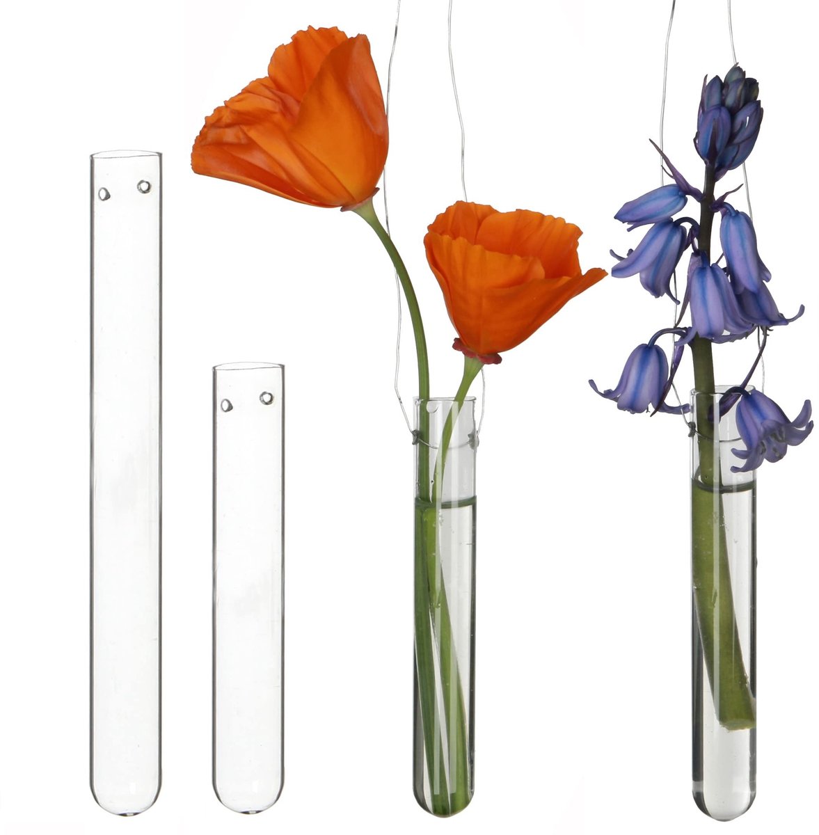 Omgoods - Set van 12 Glazen Proefbuizen met Hanggaten