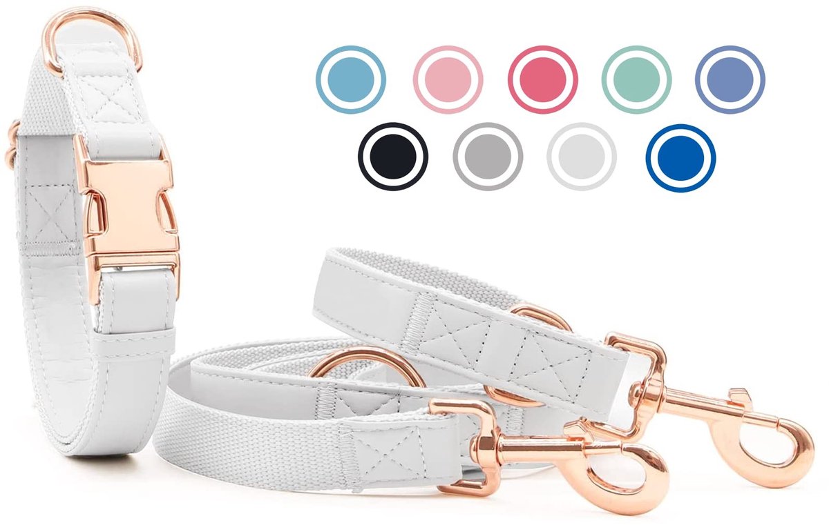 Omgoods - Zacht Leren Hondenhalsband en Leash Set - Verstelbaar 2m
