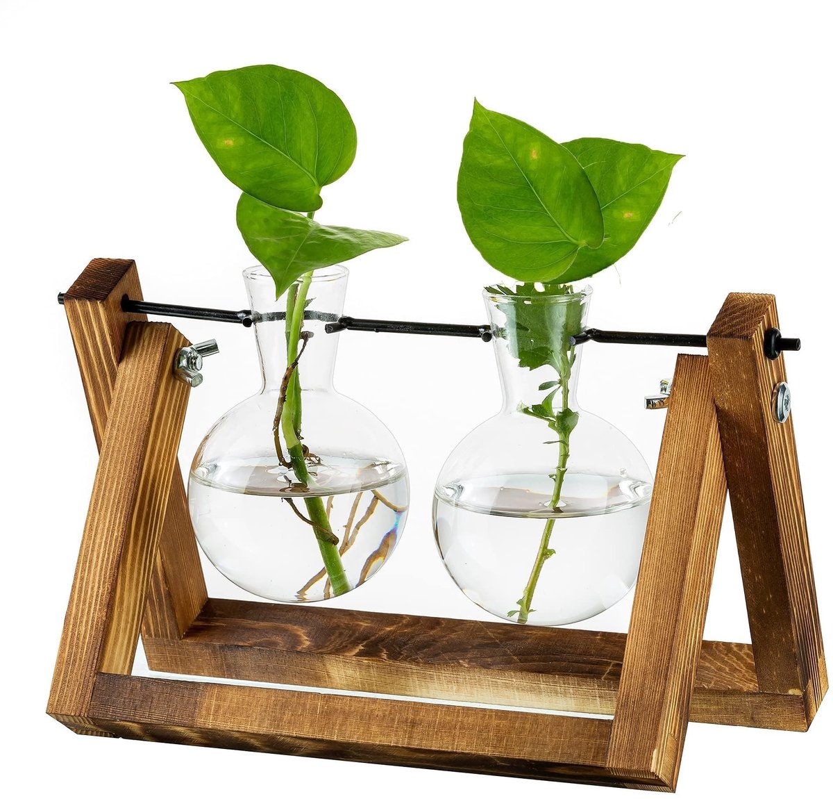 Omgoods - Planten Propagatiestation met Houten Stand en Glazen Vazen