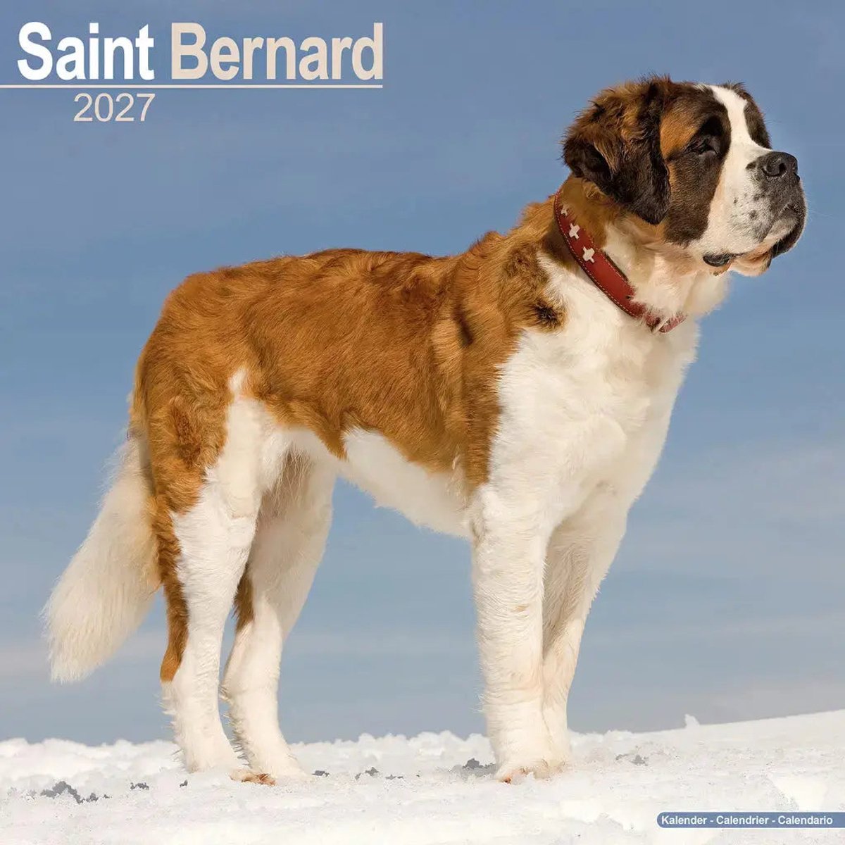 Sint Bernard Kalender 2027