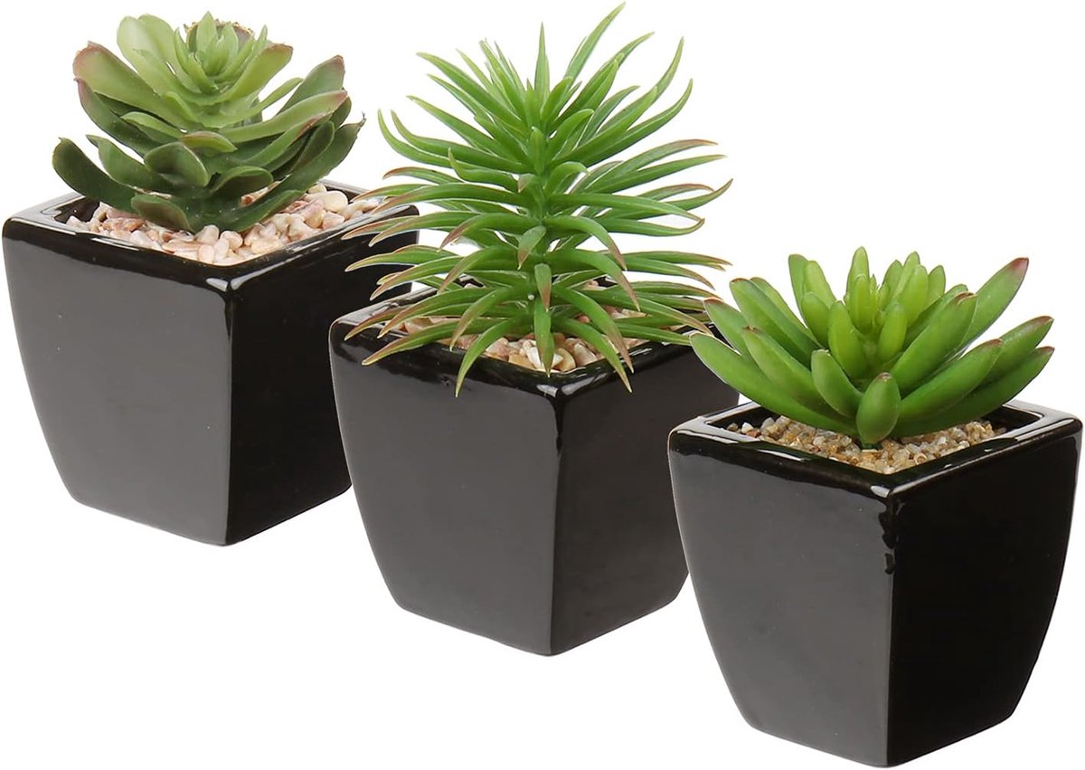 SnelShoppen - Set van 3 Kunstmatige Succulenten in Zwarte Keramische Pot voor Badkamer, Keuken, Patio, Thuis, Kantoor, Tafel Decoratie