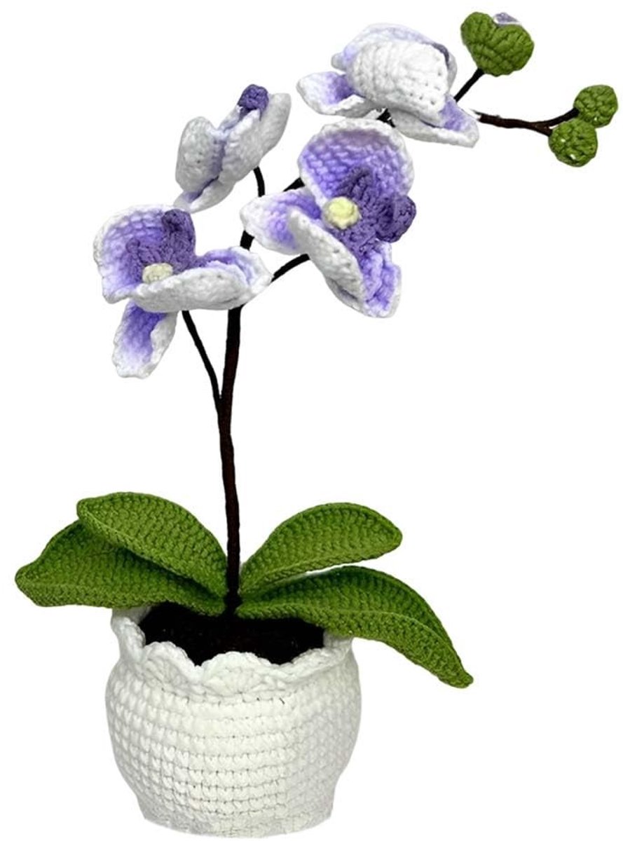 Omgoods - Handgemaakte Gehaakte Phalaenopsis Orchidee in Pot voor Decoratie